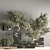 Versatile Indoor Plant Set 3D model small image 2