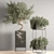 Versatile Indoor Plant Set 3D model small image 5