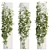 Lush Ivy Adornment Collection 3D model small image 1