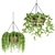 Hanging Plant Collection: Stylish PBR Creations 3D model small image 3