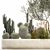 Exotic Cactus Collection | Decorative Plants in Concrete Pots 3D model small image 2