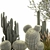 Exotic Cactus Collection | Decorative Plants in Concrete Pots 3D model small image 3