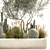 Exotic Cactus Collection | Decorative Plants in Concrete Pots 3D model small image 6