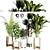 Indoor Plant Collection 3D model small image 1