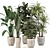 Green Oasis: 5 Indoor Plant Set 3D model small image 1