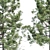 Evergreen Pine Trees Collection Vol. 11 3D model small image 2