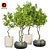 Modern Indoor Plant Vol.32 3D model small image 1