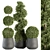 Outdoor Greenery Set: Topiary Plant & Bush 3D model small image 1