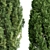 Real Trees Pack: Rocky Mountain, Chinensis Spartan, Taylor, Mediterranean Cypress 3D model small image 2