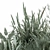 Aloevera Mixed Plant Set 3D model small image 2