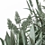 Aloevera Mixed Plant Set 3D model small image 5