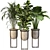 Lush Indoor Plant Trio 3D model small image 1