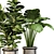 Lush Indoor Plant Trio 3D model small image 3