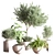 Indoor Oasis Plant Set 3D model small image 1