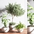 Indoor Oasis Plant Set 3D model small image 5