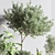 Indoor Oasis Plant Set 3D model small image 8