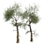 Variety Vol. 3: Three Unique Trees 3D model small image 2