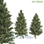 Evergreen Pine Tree Collection 3D model small image 1
