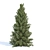 Evergreen Pine Tree Collection 3D model small image 4