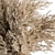 Elegant Pampas Grass Set 3D model small image 2