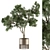 Golden Tree Indoor Plant Set 3D model small image 1