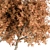 Broadleaf Tree Set - Spring, Fall, Green 3D model small image 5
