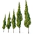 Juniperus Virginiana: Eastern Red Cedar 3D model small image 3