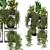 Rustic Indoor Plants | Set 207 3D model small image 2