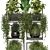 Rustic Indoor Plants | Set 207 3D model small image 4