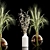 Elegant Dry Plant Set: V-Ray/Corona 3D model small image 1