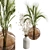 Elegant Dry Plant Set: V-Ray/Corona 3D model small image 8