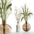 Elegant Dry Plant Set: V-Ray/Corona 3D model small image 9