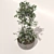 Elegant Floral Planter 3D model small image 2