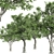  Majestic American Elm Tree 3D model small image 2