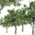 Majestic American Elm Tree 3D model small image 5