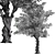  Majestic American Elm Tree 3D model small image 6