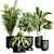 Indoor Plant Collection: 36 Varieties 3D model small image 1