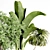 Indoor Plant Collection: 36 Varieties 3D model small image 4