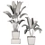 Premium Plant Collection 3D model small image 2