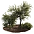 Evergreen Paradise: Olive Tree & Bush 3D model small image 1