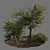 Evergreen Paradise: Olive Tree & Bush 3D model small image 2