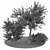 Evergreen Paradise: Olive Tree & Bush 3D model small image 5