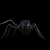 Title: Textured Spider with Skeleton 3D model small image 1