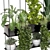 Metal Box Set: Indoor Hanging Plants 3D model small image 4