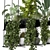 Metal Box Set: Indoor Hanging Plants 3D model small image 5