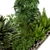  Leafy Oasis: Collection Plant vol. 303 | Outdoor Beauty 3D model small image 5