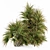 Tropical Bush Set - Mixed Plant 62 3D model small image 1