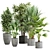  Lush Green Indoor Plant Set 3D model small image 1