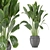 Botanical Bliss: Indoor Plants Collection 3D model small image 1