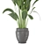 Botanical Bliss: Indoor Plants Collection 3D model small image 2
